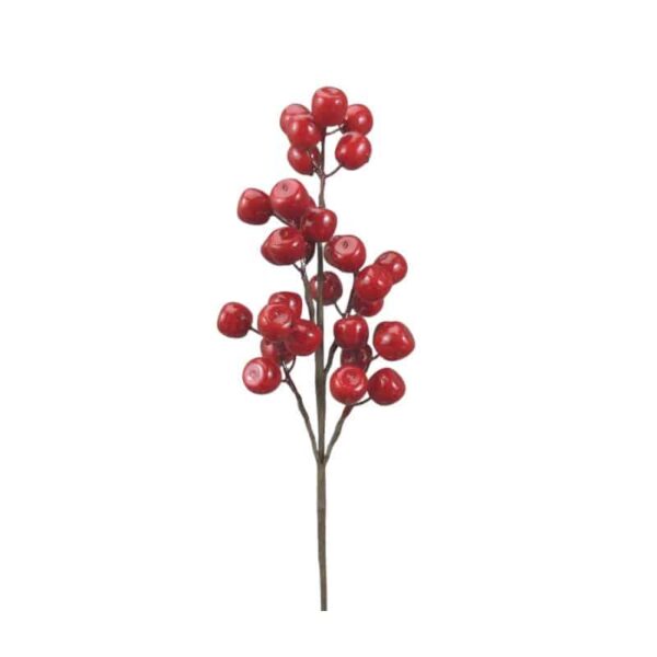 Red Berry Spray