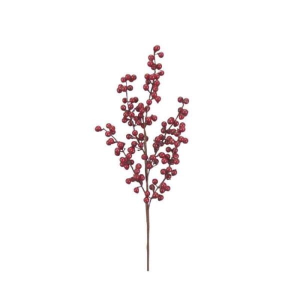 Red Berry Spray