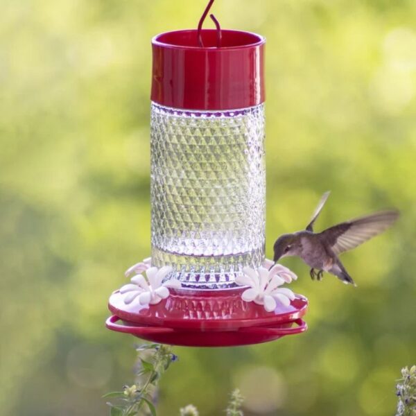 Hummingbird Feeder Cherry