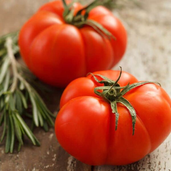 Chef Jeff "Beefmaster" Tomato