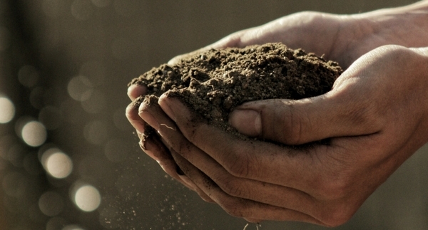 Pick a Soil