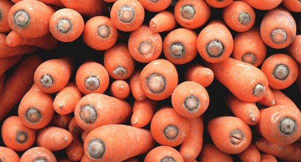 Trend Watch: Healthy Gardening