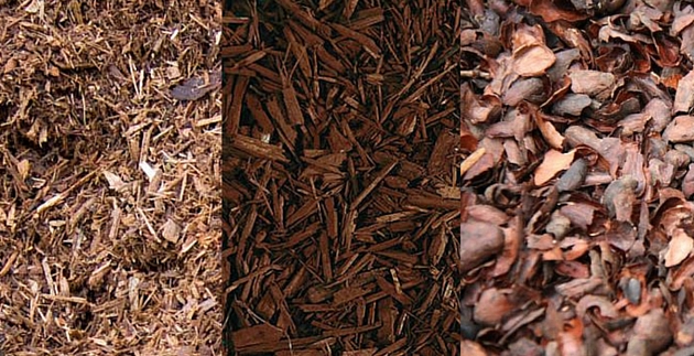 PRODUCT SPOTLIGHT: Mulch