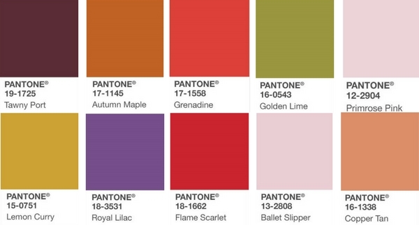 Bold Fall Color