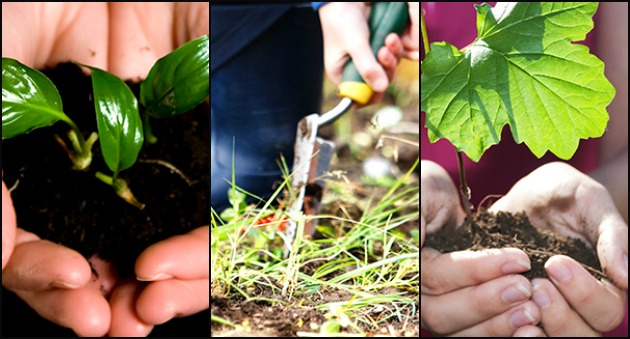 Recipes for Great Planting Soil