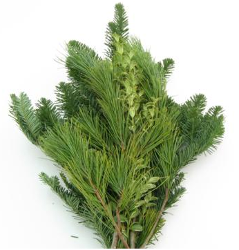 Mixed Evergreen Bunch
