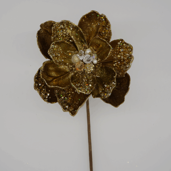 Gold Magnolia