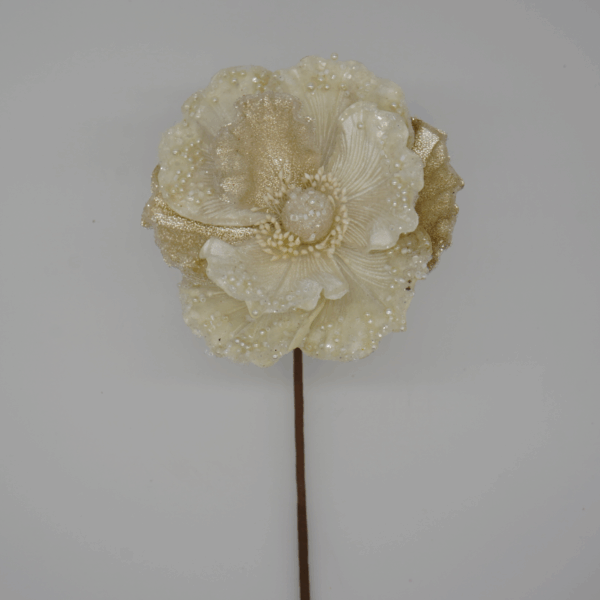 Pearl Poppy