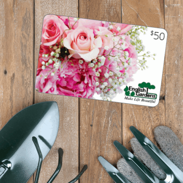 $50 Gift Card Pink Roses