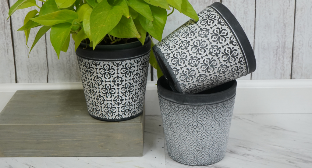 Choosing the Perfect Container