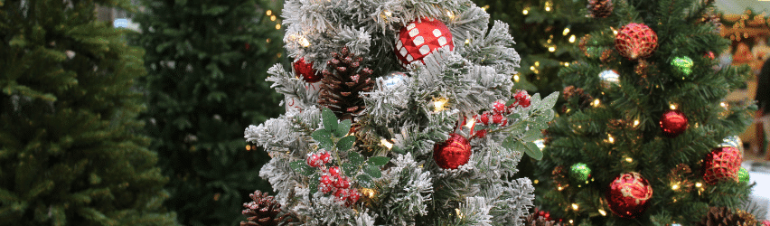 Christmas Clean-up