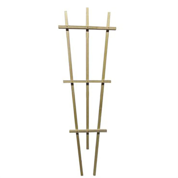 Fanned Pot Trellis