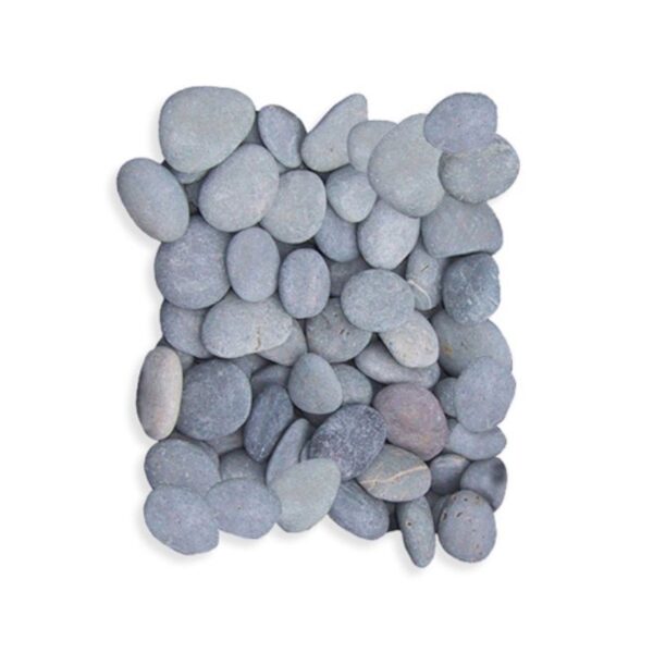 Mexican Beech Pebbles