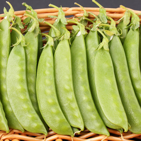 Chef Jeff Snow Pea