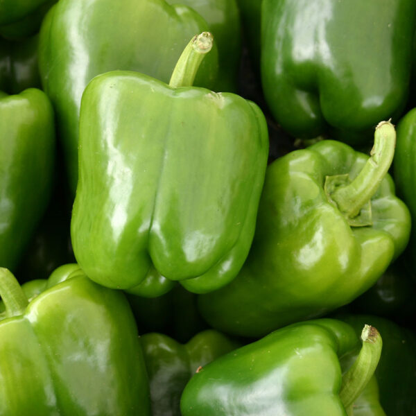 Chef Jeff "California Wonder" Pepper