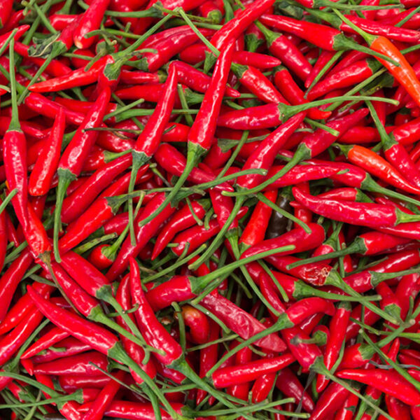 Chef Jeff "Cayenne" Pepper