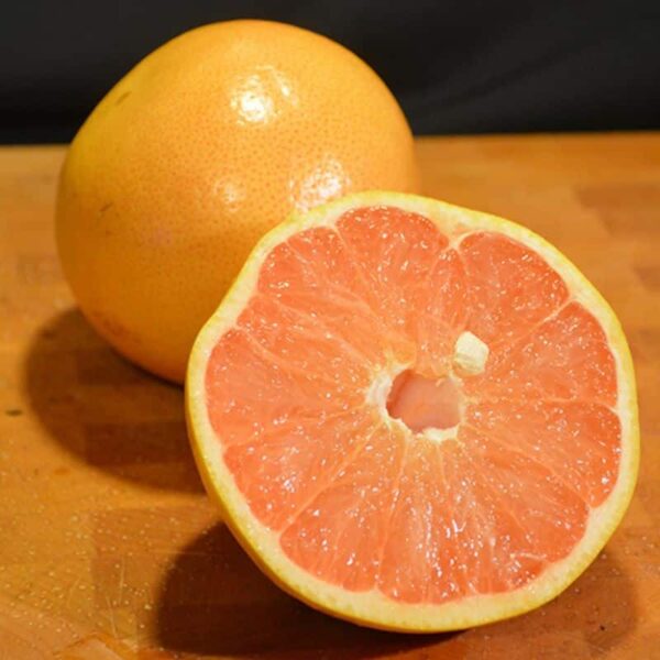 Ruby Red Grapefruit #1 gallon pot