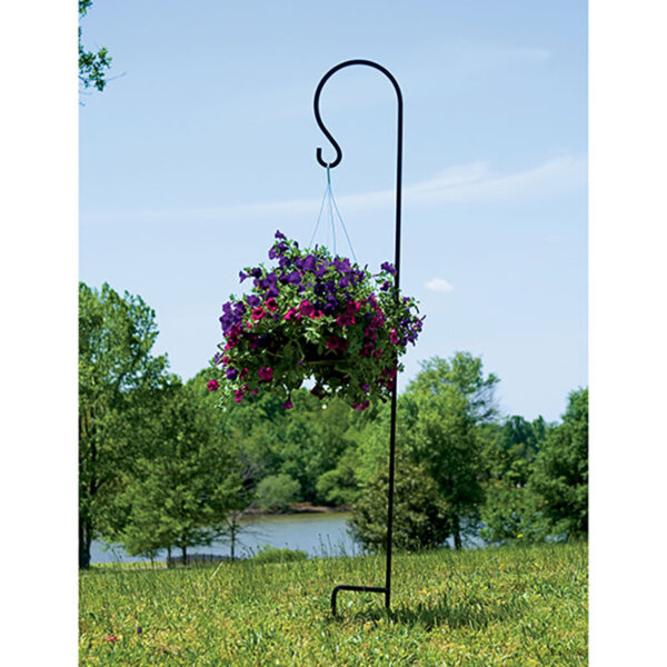 Shephard Hook