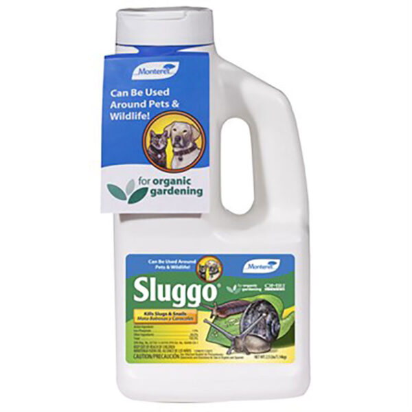 Sluggo